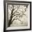 Tree Study VI-Michael Kahn-Framed Giclee Print