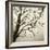 Tree Study VI-Michael Kahn-Framed Giclee Print