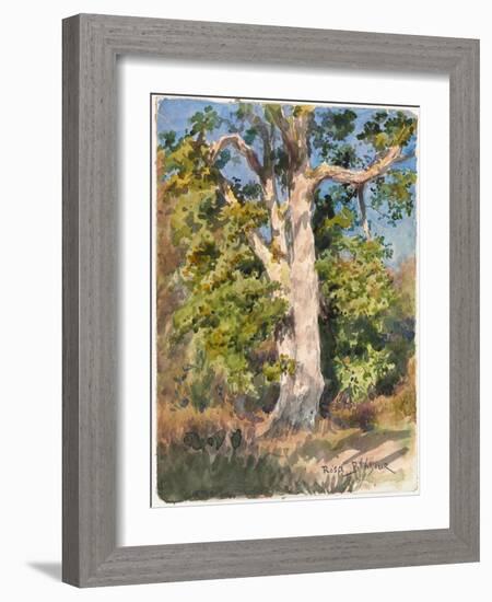 Tree Study (W/C)-Rosa Bonheur-Framed Giclee Print