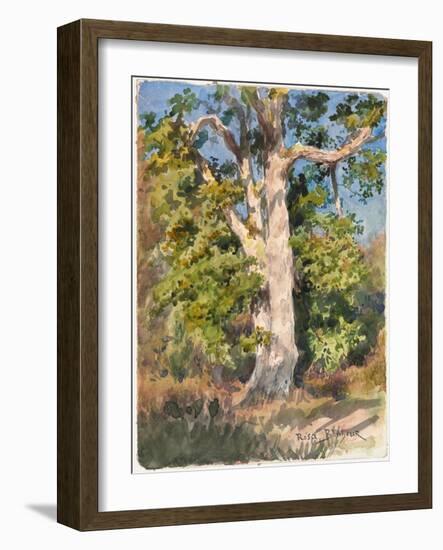 Tree Study (W/C)-Rosa Bonheur-Framed Giclee Print