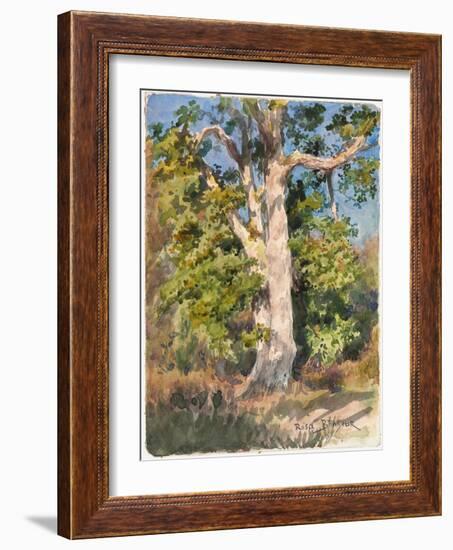 Tree Study (W/C)-Rosa Bonheur-Framed Giclee Print