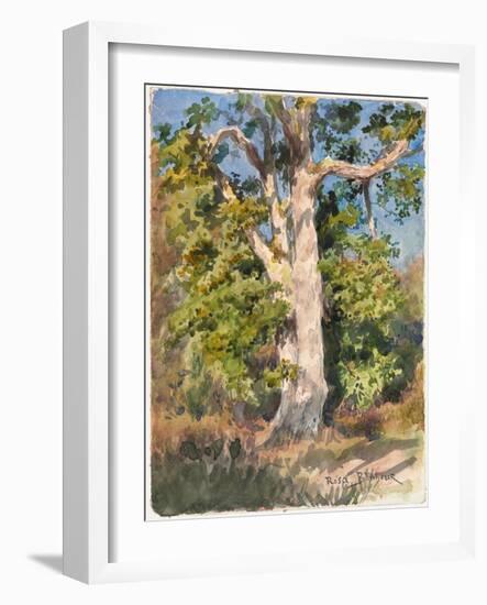 Tree Study (W/C)-Rosa Bonheur-Framed Giclee Print