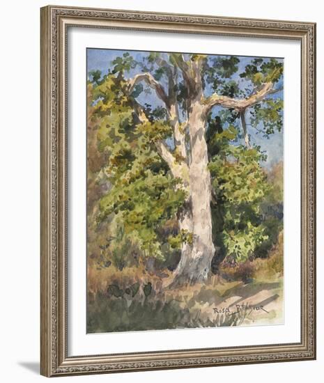 Tree Study-Rosa Bonheur-Framed Giclee Print