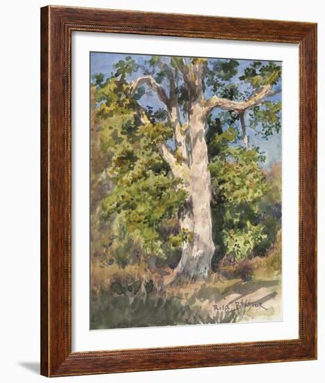 Tree Study-Rosa Bonheur-Framed Giclee Print