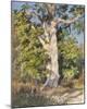 Tree Study-Rosa Bonheur-Mounted Giclee Print