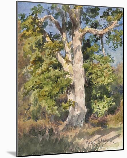 Tree Study-Rosa Bonheur-Mounted Giclee Print