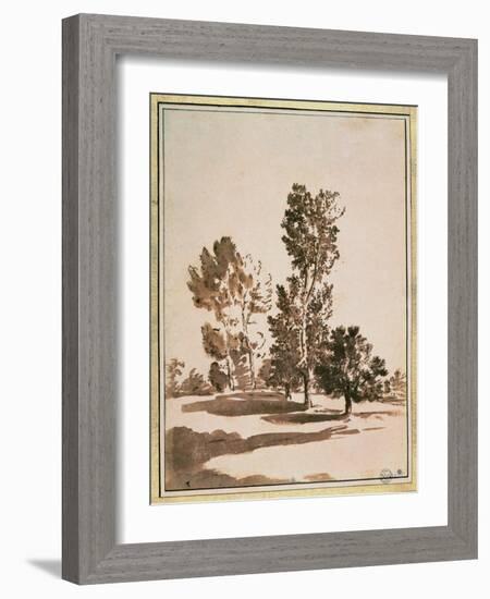 Tree Study-Nicolas Poussin-Framed Giclee Print