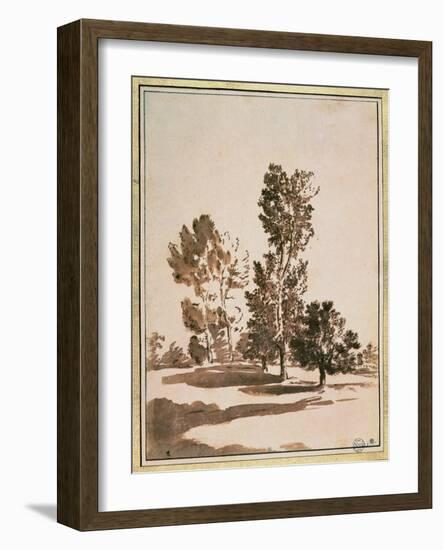 Tree Study-Nicolas Poussin-Framed Giclee Print