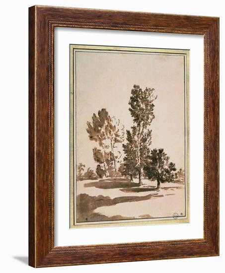 Tree Study-Nicolas Poussin-Framed Giclee Print