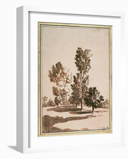 Tree Study-Nicolas Poussin-Framed Giclee Print