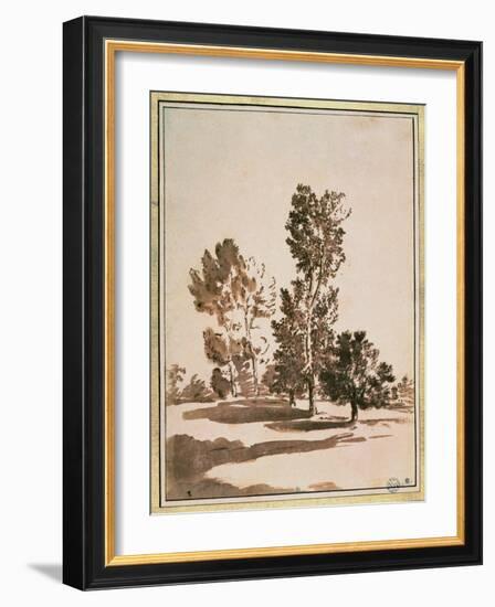 Tree Study-Nicolas Poussin-Framed Giclee Print