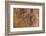 Tree Stump Detail-Panoramic Images-Framed Photographic Print