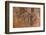 Tree Stump Detail-Panoramic Images-Framed Photographic Print