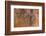 Tree Stump Detail-Panoramic Images-Framed Photographic Print