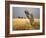 Tree Stump, Grain-Field, Provence, France-Thonig-Framed Photographic Print