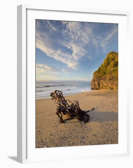 Tree Stump on the Beach, Ship Creek, West Coast, Tasman Sea, South Island, New Zealand-Rainer Mirau-Framed Photographic Print