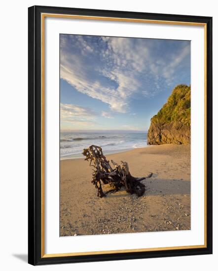 Tree Stump on the Beach, Ship Creek, West Coast, Tasman Sea, South Island, New Zealand-Rainer Mirau-Framed Photographic Print