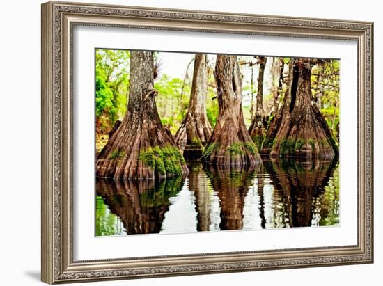 Tree Stumps-Bruce Nawrocke-Framed Art Print