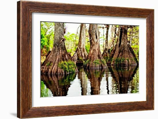 Tree Stumps-Bruce Nawrocke-Framed Art Print