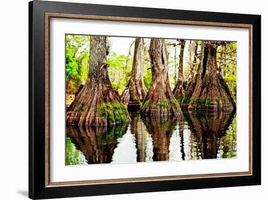 Tree Stumps-Bruce Nawrocke-Framed Art Print