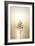 Tree, Sunset (Backlit)-Simon Plant-Framed Photographic Print