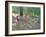 Tree Swing, Elephant Island, Bombay, 2000-Andrew Macara-Framed Giclee Print