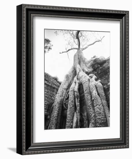 Tree Ta Prohm, Angkor, Cambodia-Walter Bibikow-Framed Photographic Print