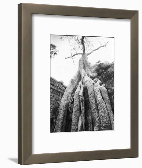 Tree Ta Prohm, Angkor, Cambodia-Walter Bibikow-Framed Photographic Print