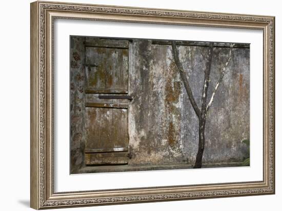 Tree Trunk at Lunuganga, Sri Lanka. Country Home of the Late Geoffrey Bawa Now a Boutique Hotel-Richard Bryant-Framed Photographic Print