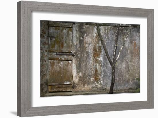 Tree Trunk at Lunuganga, Sri Lanka. Country Home of the Late Geoffrey Bawa Now a Boutique Hotel-Richard Bryant-Framed Photographic Print