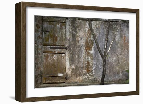 Tree Trunk at Lunuganga, Sri Lanka. Country Home of the Late Geoffrey Bawa Now a Boutique Hotel-Richard Bryant-Framed Photographic Print