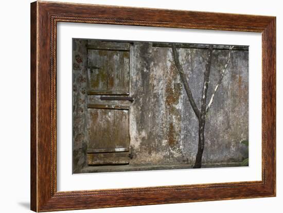 Tree Trunk at Lunuganga, Sri Lanka. Country Home of the Late Geoffrey Bawa Now a Boutique Hotel-Richard Bryant-Framed Photographic Print