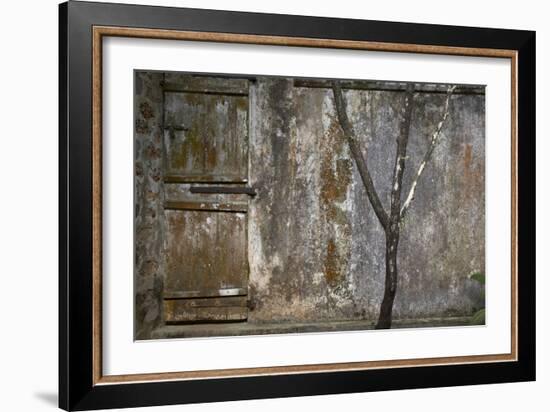 Tree Trunk at Lunuganga, Sri Lanka. Country Home of the Late Geoffrey Bawa Now a Boutique Hotel-Richard Bryant-Framed Photographic Print