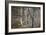 Tree Trunk at Lunuganga, Sri Lanka. Country Home of the Late Geoffrey Bawa Now a Boutique Hotel-Richard Bryant-Framed Photographic Print