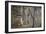 Tree Trunk at Lunuganga, Sri Lanka. Country Home of the Late Geoffrey Bawa Now a Boutique Hotel-Richard Bryant-Framed Photographic Print