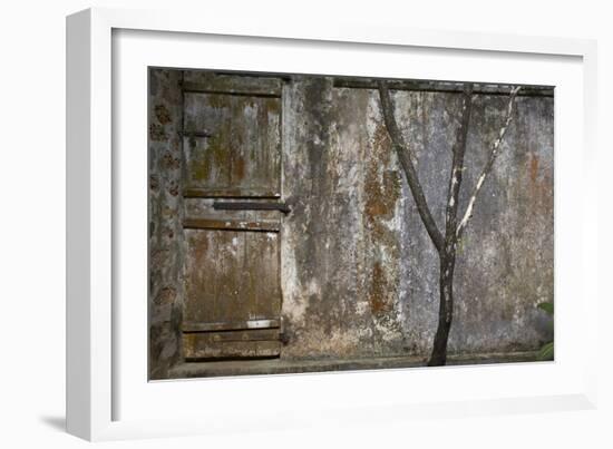 Tree Trunk at Lunuganga, Sri Lanka. Country Home of the Late Geoffrey Bawa Now a Boutique Hotel-Richard Bryant-Framed Photographic Print