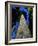 Tree Trunk of Coastal Redwood-Doug Wilson-Framed Photographic Print