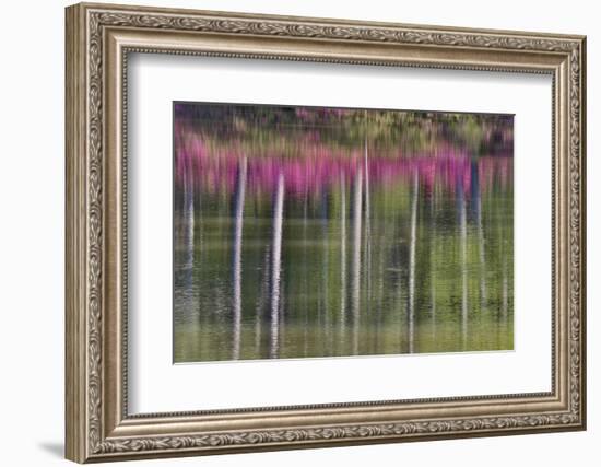 Tree trunks and azaleas reflected in calm pond, Georgia-Darrell Gulin-Framed Photographic Print