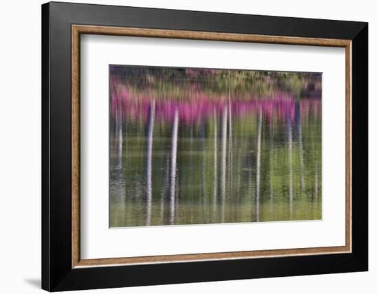 Tree trunks and azaleas reflected in calm pond, Georgia-Darrell Gulin-Framed Photographic Print