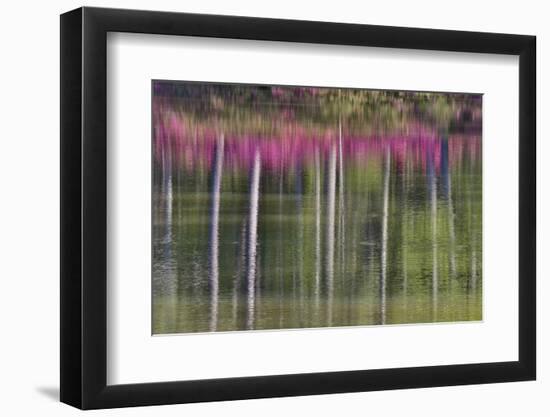 Tree trunks and azaleas reflected in calm pond, Georgia-Darrell Gulin-Framed Photographic Print