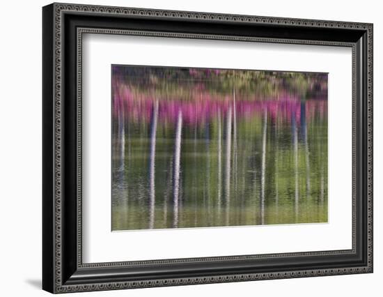 Tree trunks and azaleas reflected in calm pond, Georgia-Darrell Gulin-Framed Photographic Print