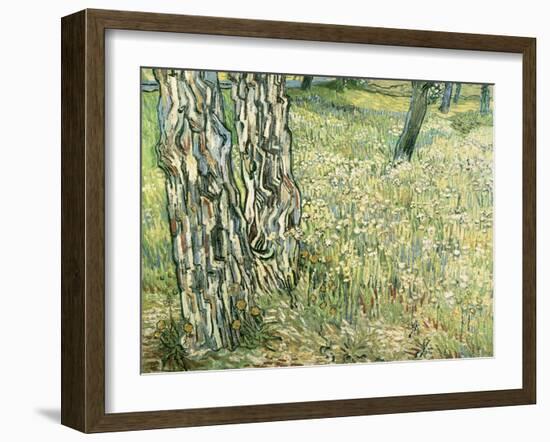 Tree Trunks in Grass, 1890-Vincent van Gogh-Framed Giclee Print