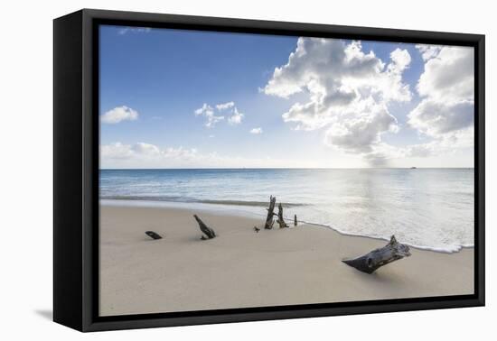 Tree Trunks on the Beach Framed by the Crystalline Caribbean Sea, Ffryes Beach, Antigua-Roberto Moiola-Framed Premier Image Canvas