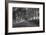 Tree Tunnel to Old Koloa Town (B/W), Kauai Hawaii-Vincent James-Framed Photographic Print