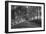 Tree Tunnel to Old Koloa Town (B/W), Kauai Hawaii-Vincent James-Framed Photographic Print