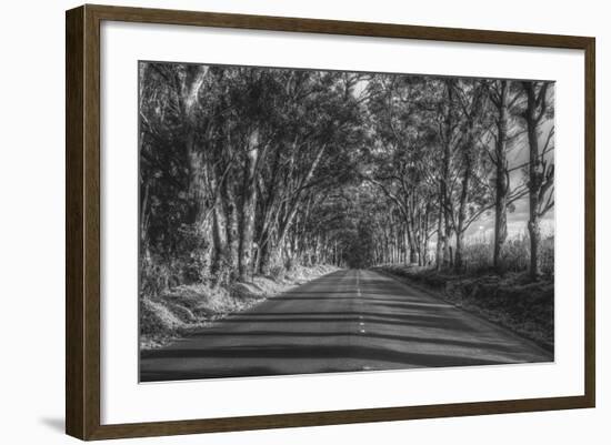 Tree Tunnel to Old Koloa Town (B/W), Kauai Hawaii-Vincent James-Framed Photographic Print