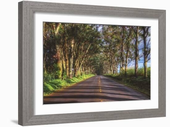 Tree Tunnel to Old Koloa Town, Kauai Hawaii-Vincent James-Framed Photographic Print