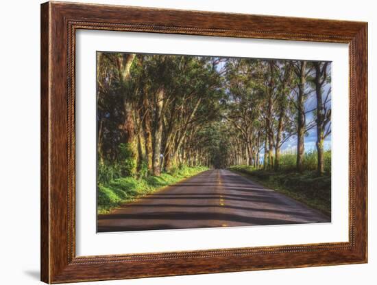 Tree Tunnel to Old Koloa Town, Kauai Hawaii-Vincent James-Framed Photographic Print