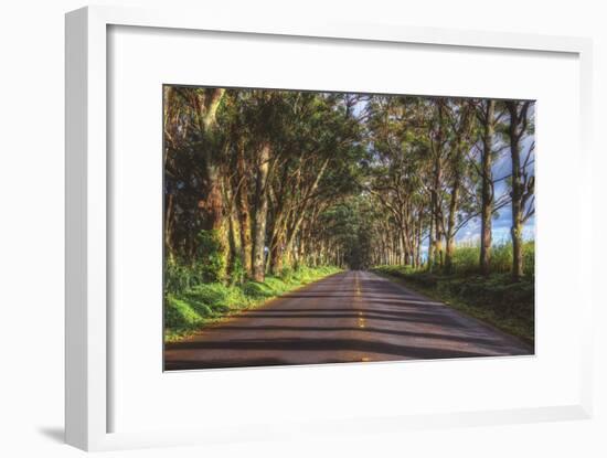 Tree Tunnel to Old Koloa Town, Kauai Hawaii-Vincent James-Framed Photographic Print