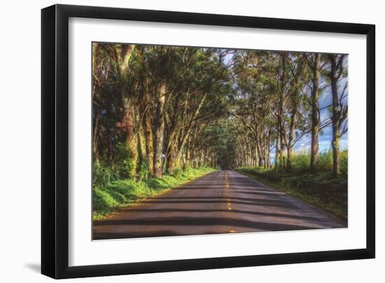 Tree Tunnel to Old Koloa Town, Kauai Hawaii-Vincent James-Framed Photographic Print
